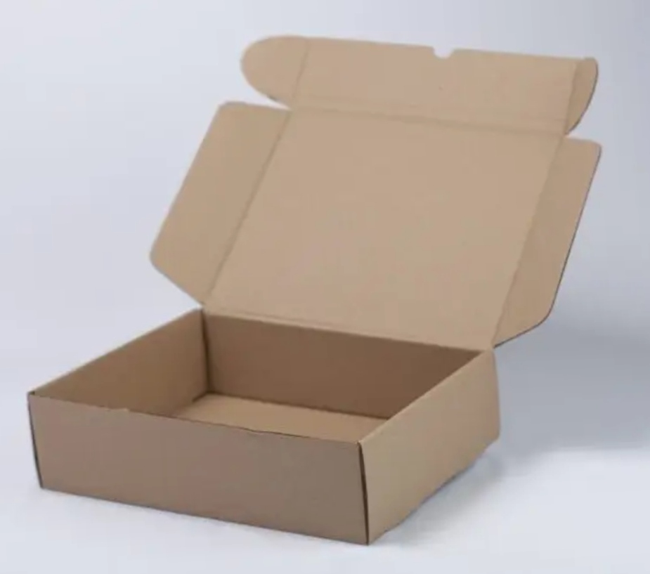 CAJA CORRUGADA 25X20X6 CAJA12A