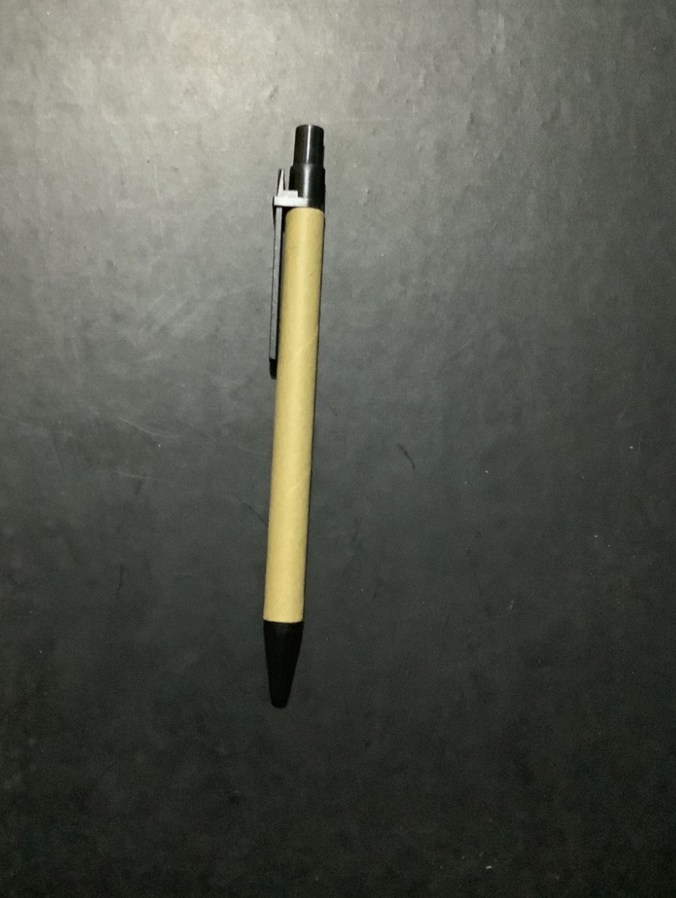 LAPICERO ECOLOGICO DELGADO NEGRO PR829N