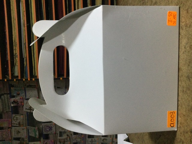 CAJA LONCHERA FOLCOTE CHICO 17x11x9 CL003