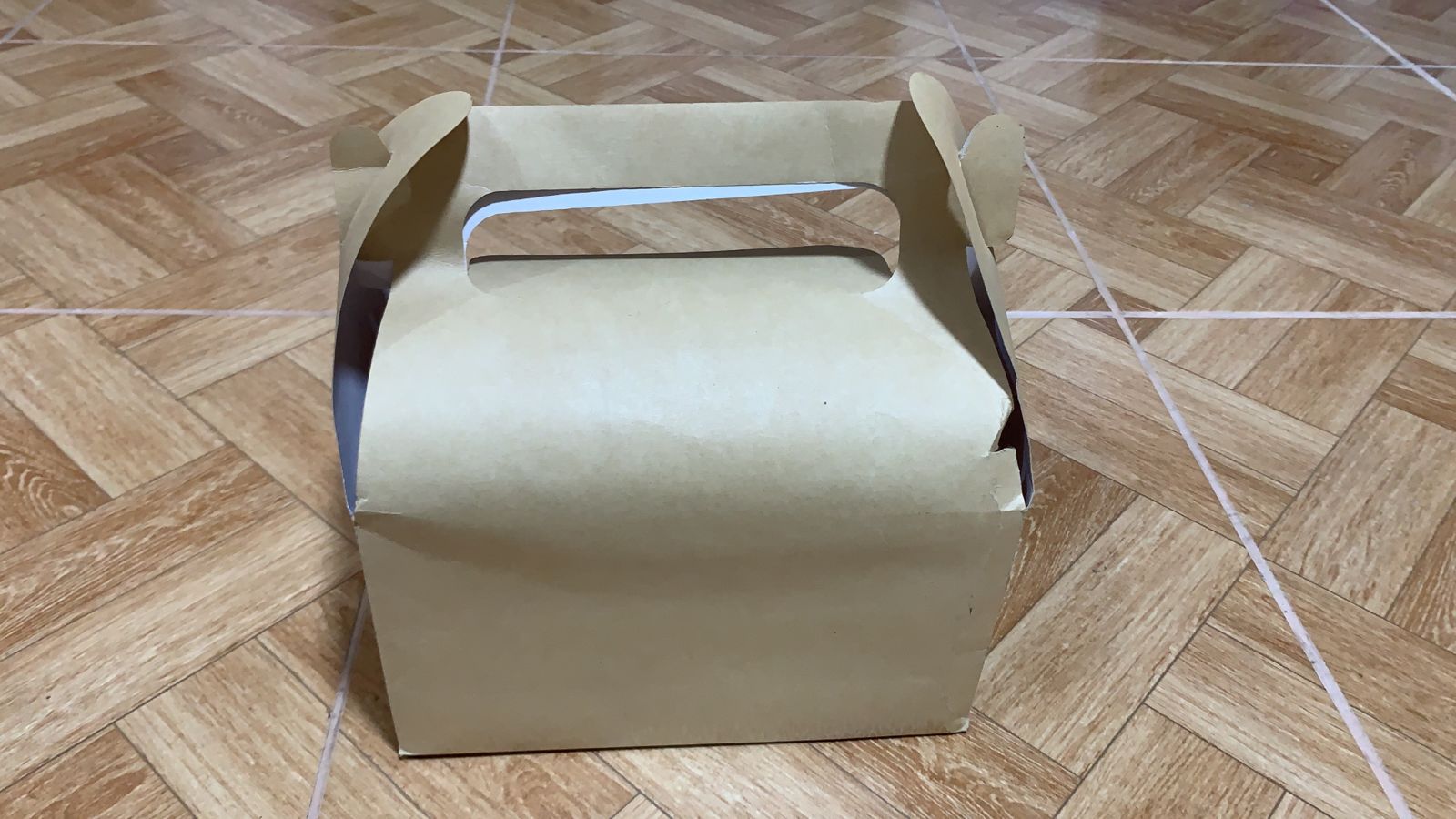 CAJA LONCHERA GRANDE DUPLEX 24.5X13X16