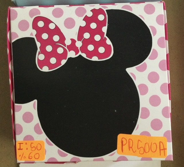 CAJA MINIE PR500A