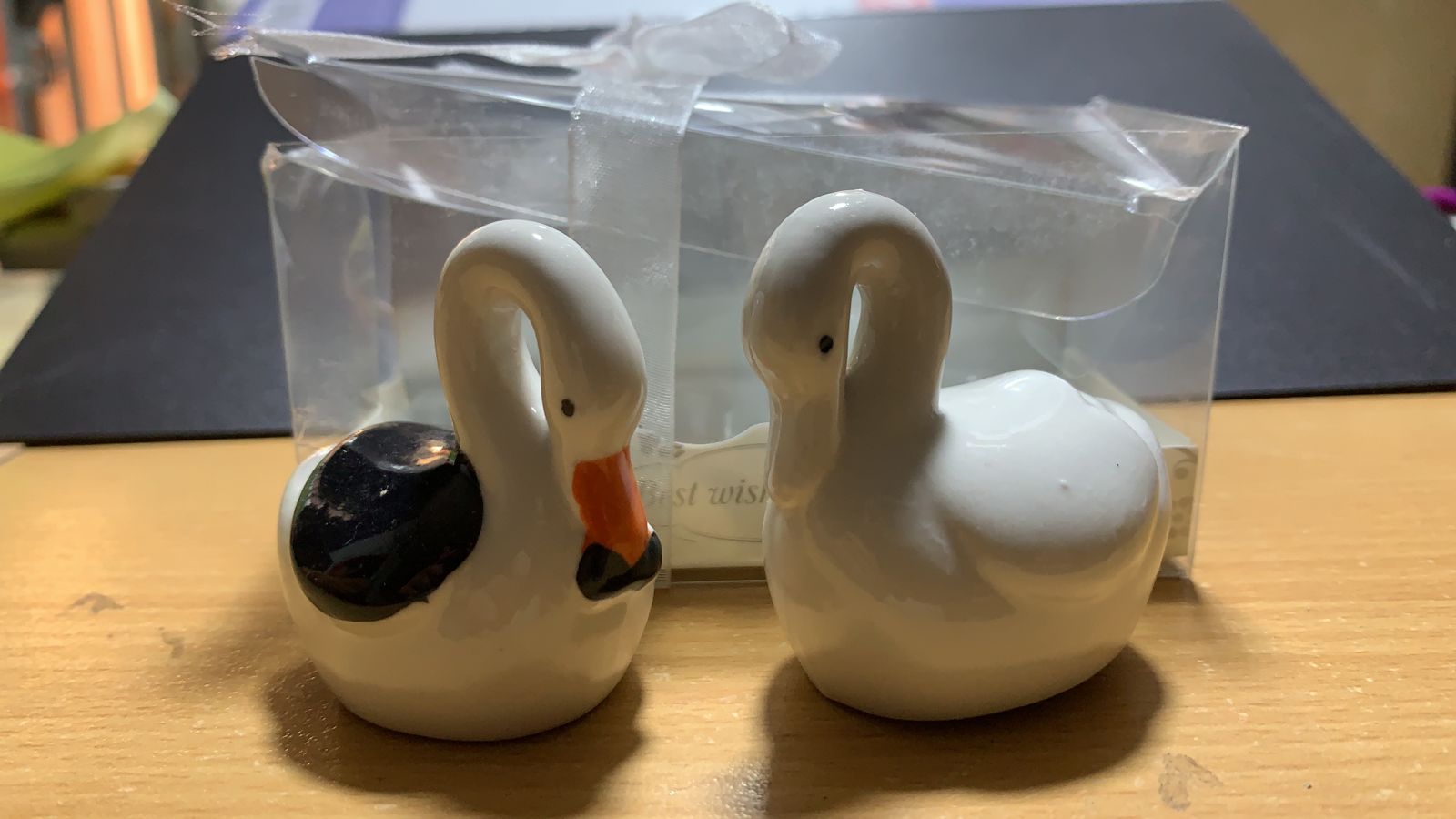 SALEROS CISNE PR802