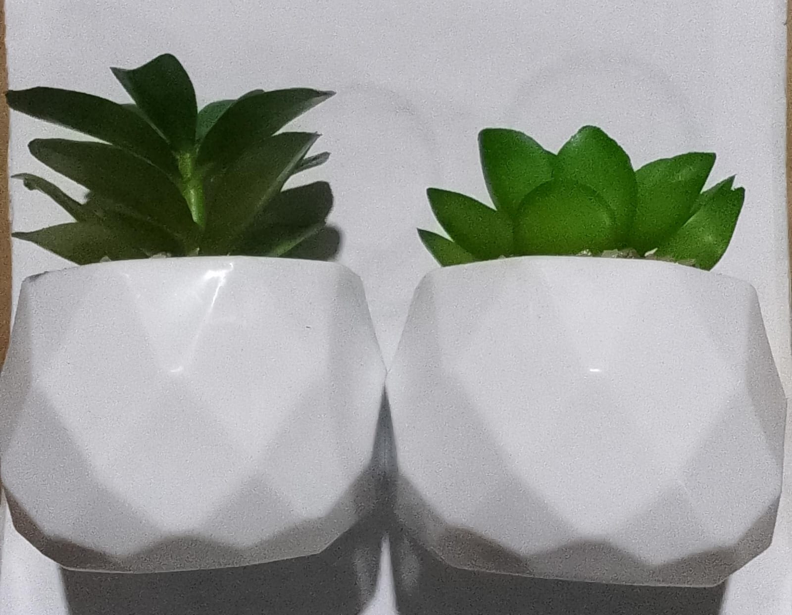 MACETERO PLASTICO CAPTUS PR2201