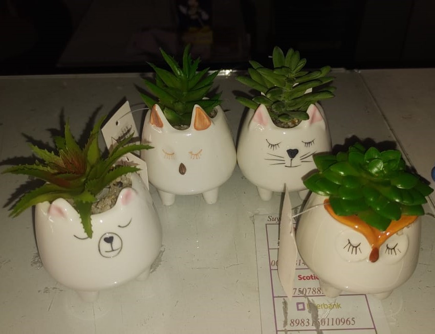 MACETEROS ANIMALES KWAII
